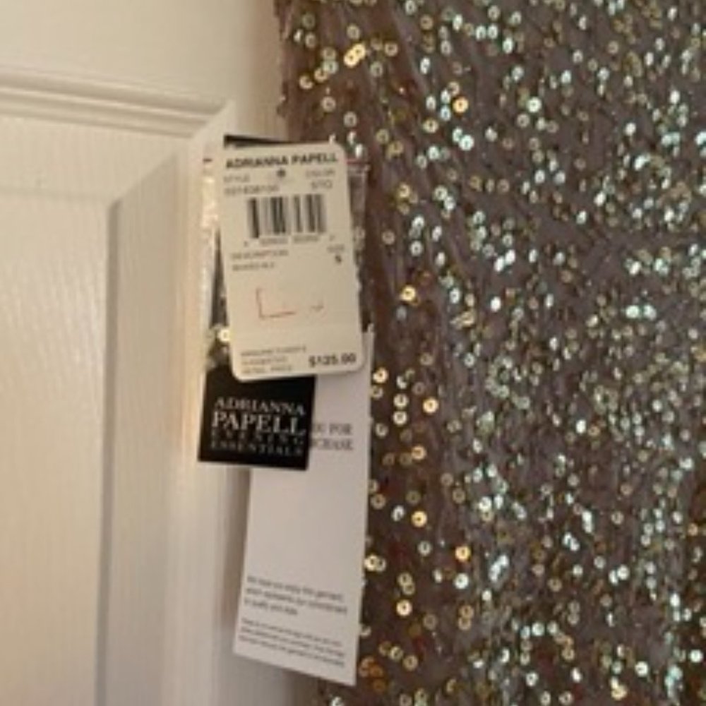 Adrianna Papell Sparkly Blouse - Picture 5 of 5